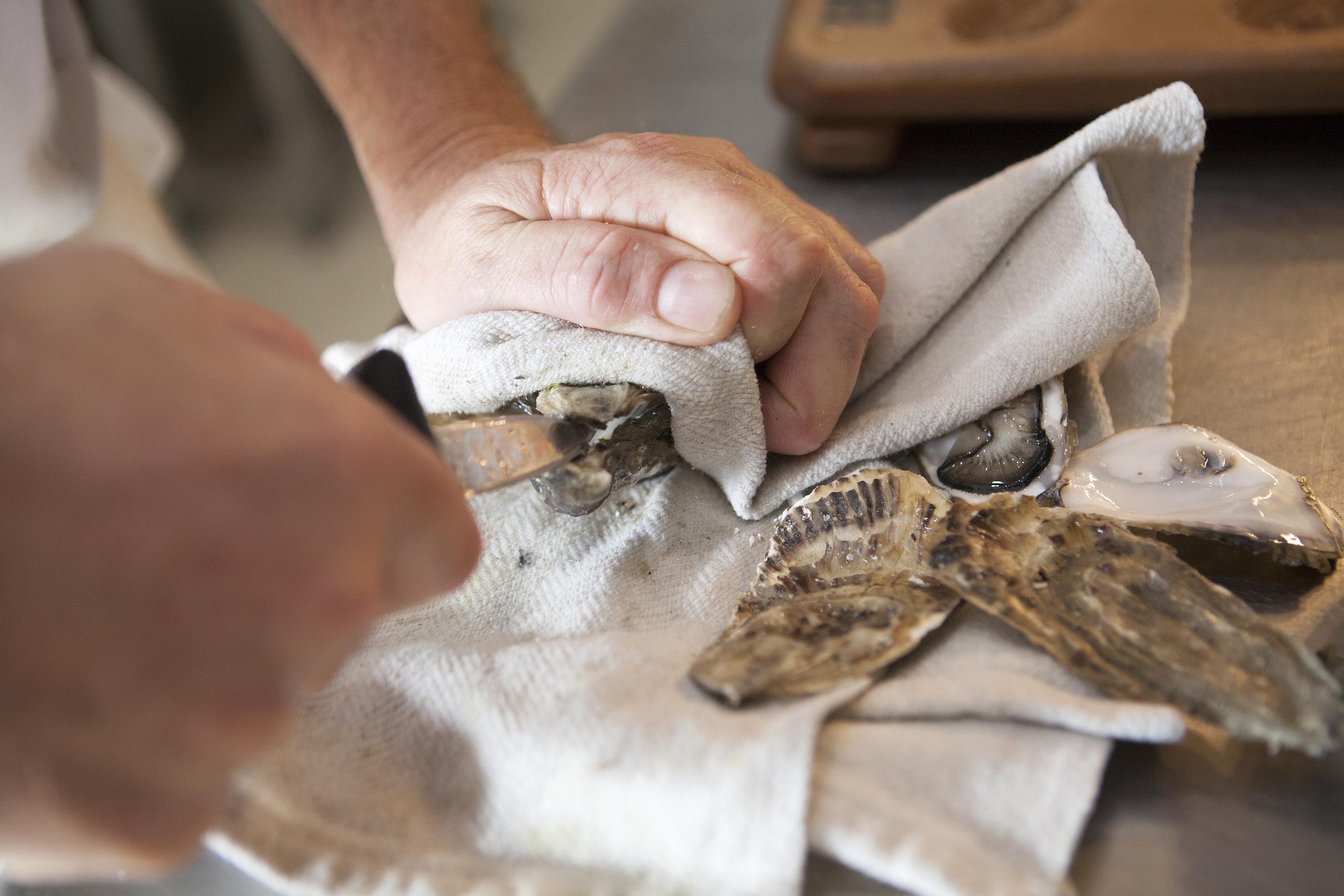 Oysters being cut open