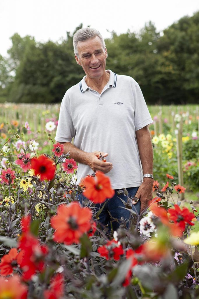 National Dahlia Collection – Commercial Photographer in Cornwall